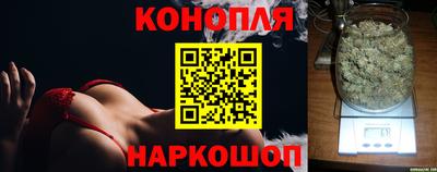 МДПВ Тара