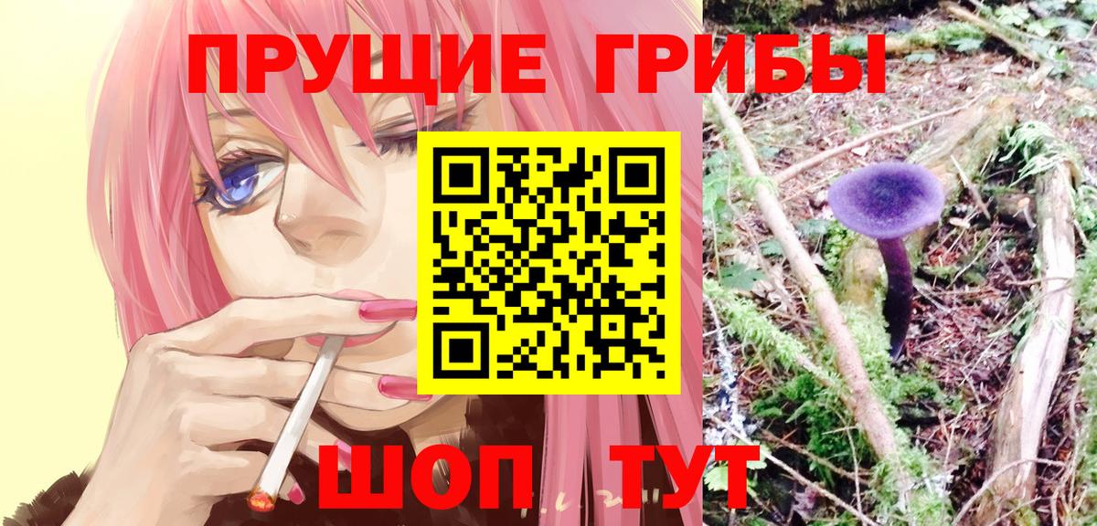 Псилоцибиновые грибы GOLDEN TEACHER  Псилоцибиновые грибы Magic Shrooms  Вход с VPN  Чусовой 